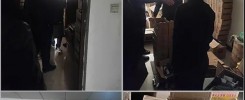 nbb假货