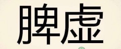 脾虚